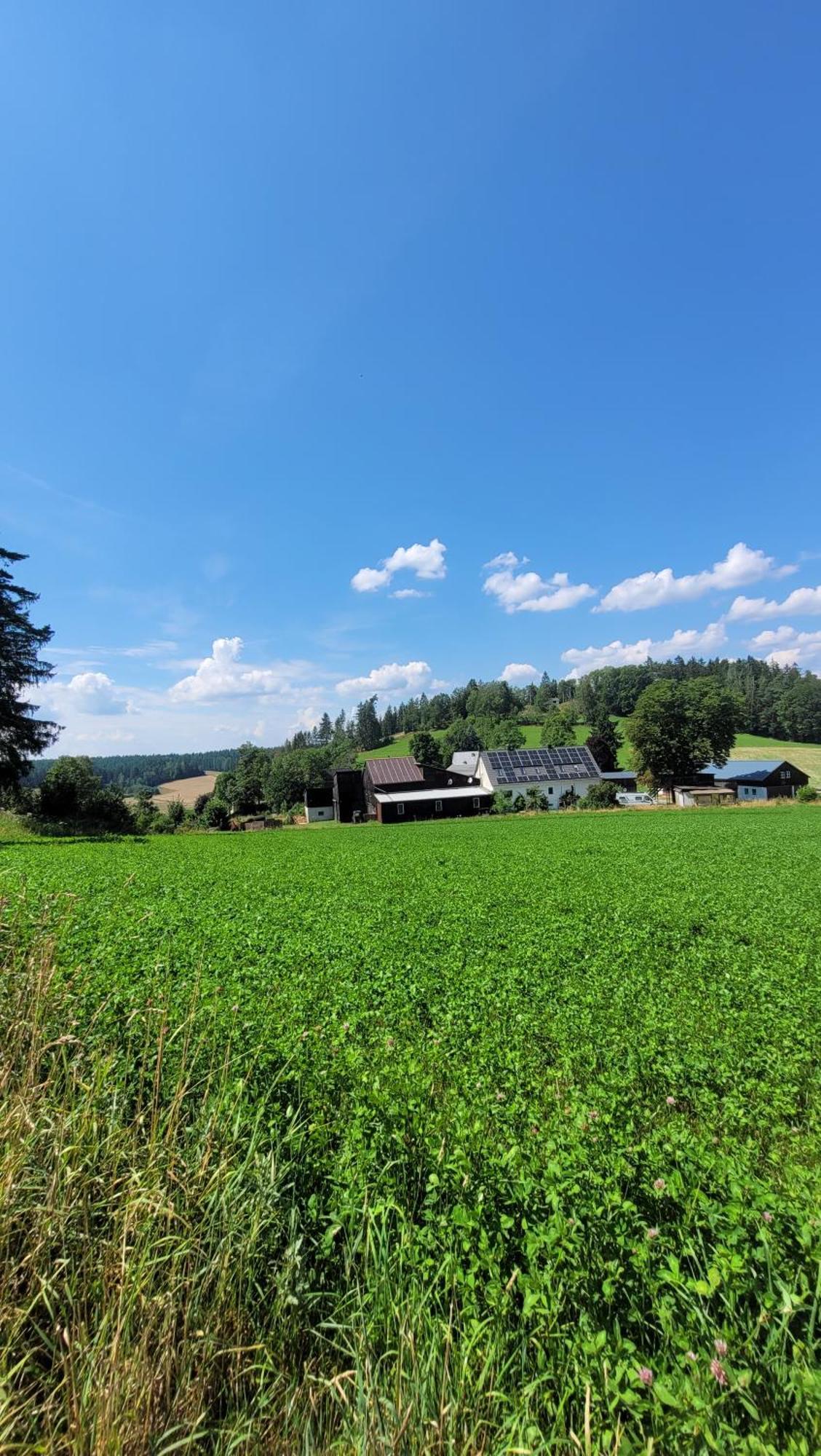 Ruhig Gelegene, Top Moderne Ferienwohnung - Hot Tub Und Sauna Gegen Aufpreis Neuhaus an Der Eger 외부 사진